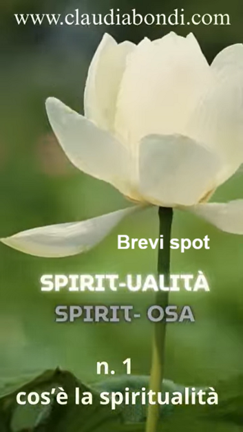 e204de2c-d1e5-4f82-b572-0224437b0ce5