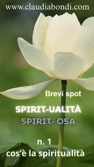 e204de2c-d1e5-4f82-b572-0224437b0ce5