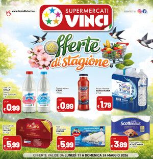 vinci%20102.jpeg