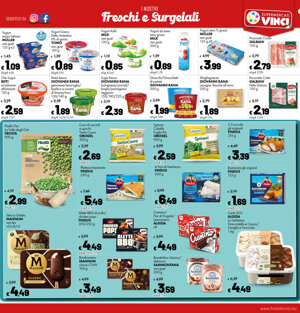 vinci%20156.jpeg