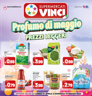 vinci%20092.jpeg