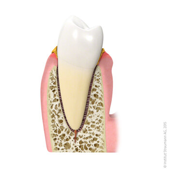 059a53b0-696d-48e7-8638-467a17abe657