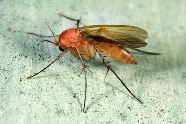 8099a478-28df-4b07-adb2-631db0f1ab48.jpg 8099a478-28df-4b07-adb2-631db0f1ab48.jpg