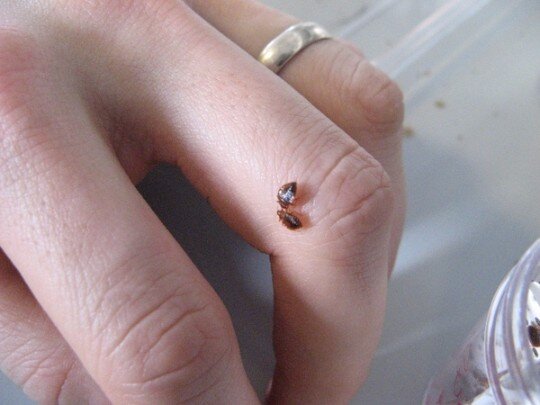 349def82998b440e89ce4e6ad630fa77