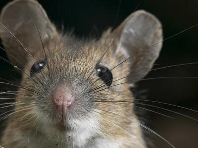 774053b3-211a-4fcf-98ab-794790c81d84.jpg 774053b3-211a-4fcf-98ab-794790c81d84.jpg