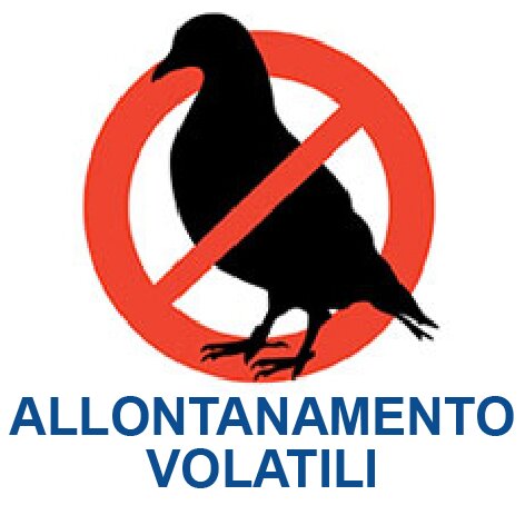 Allontanamento volatili Firenze