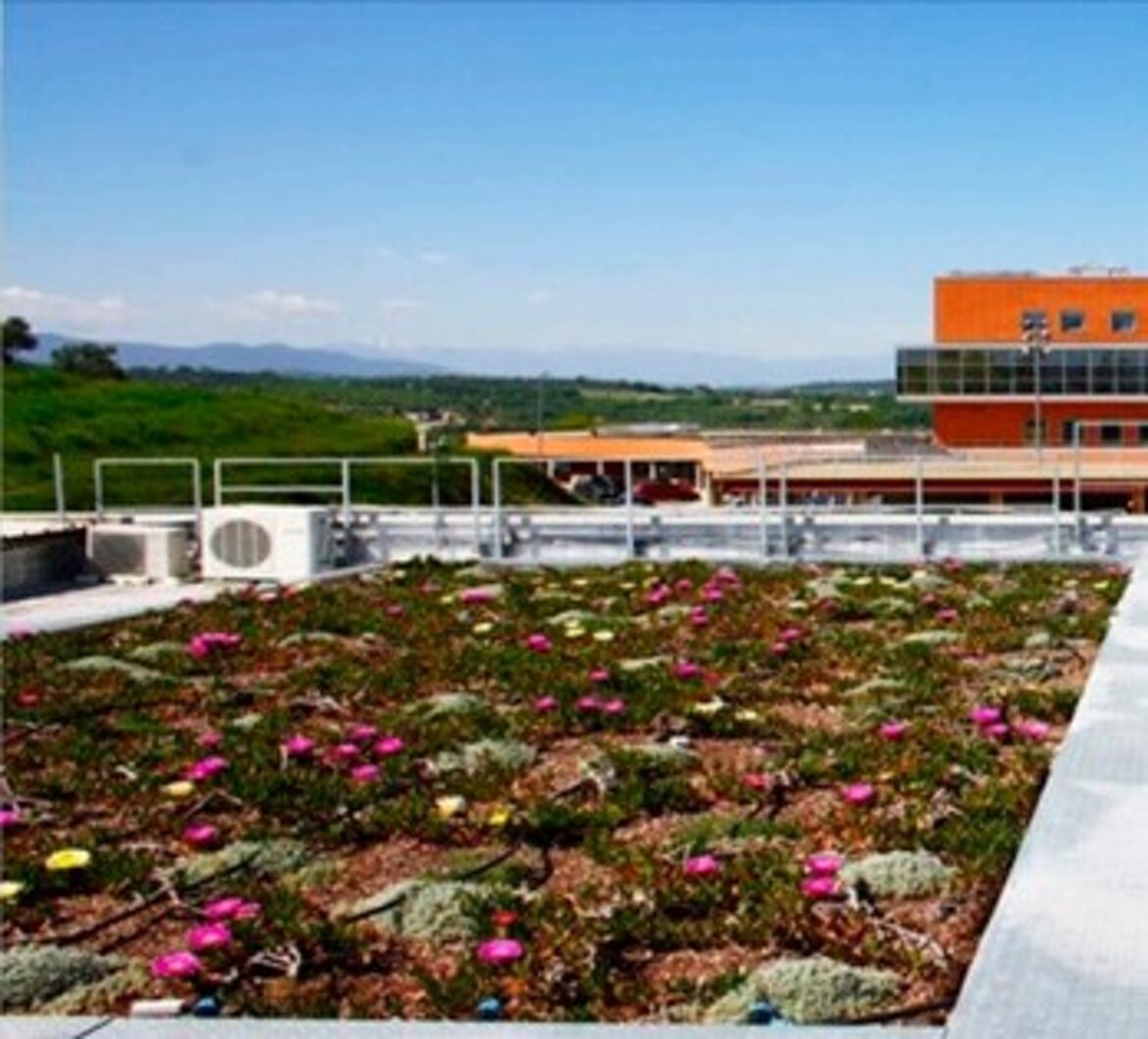 Parco di idraulica urbana del bacino Vermicelli - Università della Calabria Parco di idraulica urbana del bacino Vermicelli - Università della Calabria