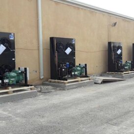 Celle Media Temperatura (Giordania) Celle Media Temperatura (Giordania)