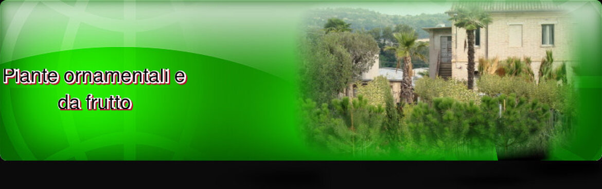 61ce7ca5-ad56-4d81-a6ab-dafe79cf24bc