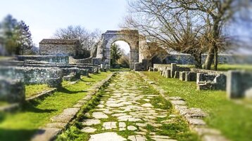 5fd8fe49-66e2-4f7d-be73-229efb1d48ec