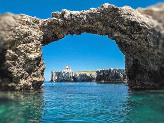 bc7d9564-e219-4431-aaaf-d7fcb446ce4d