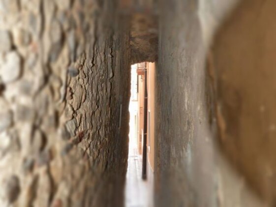 7d1b5921-2ee8-4f74-9173-ba7592e49917