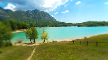 516fdb3a-d25e-4bd5-9895-3727e4e65e5f