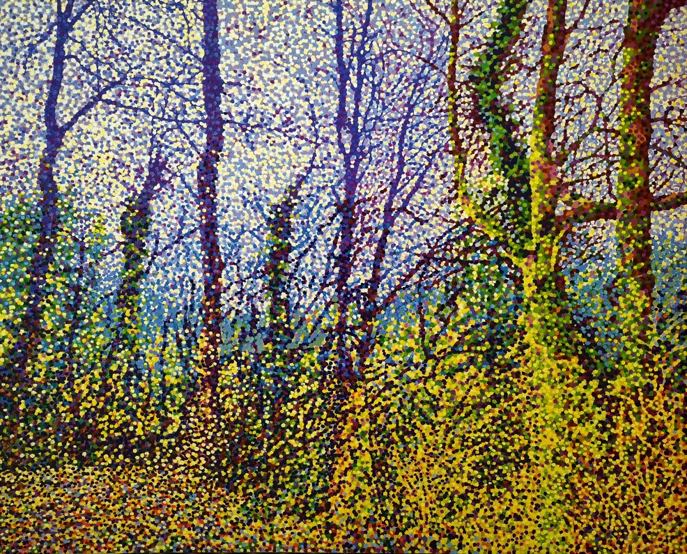 il sentiero nel bosco.jpeg il sentiero nel bosco.jpeg