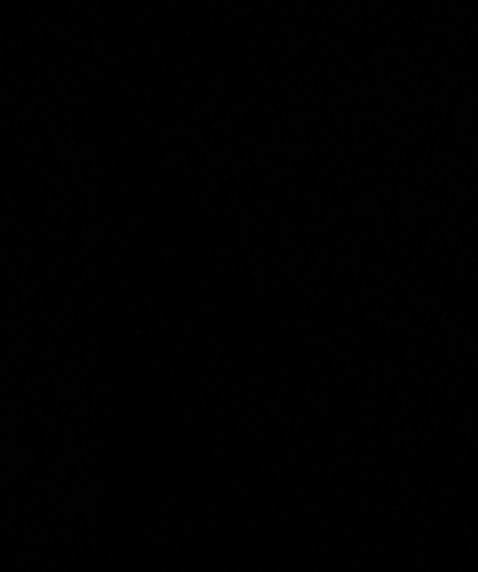 whatsapp image 2025-08-20 at 20.03.03.jpeg
