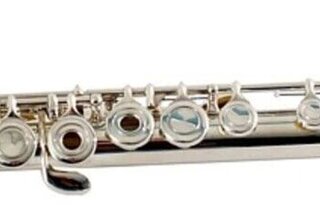 flauto-arrow.jpeg flauto-arrow.jpeg