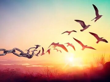 df13cb60-471b-4f88-b236-93487c2190c3 df13cb60-471b-4f88-b236-93487c2190c3