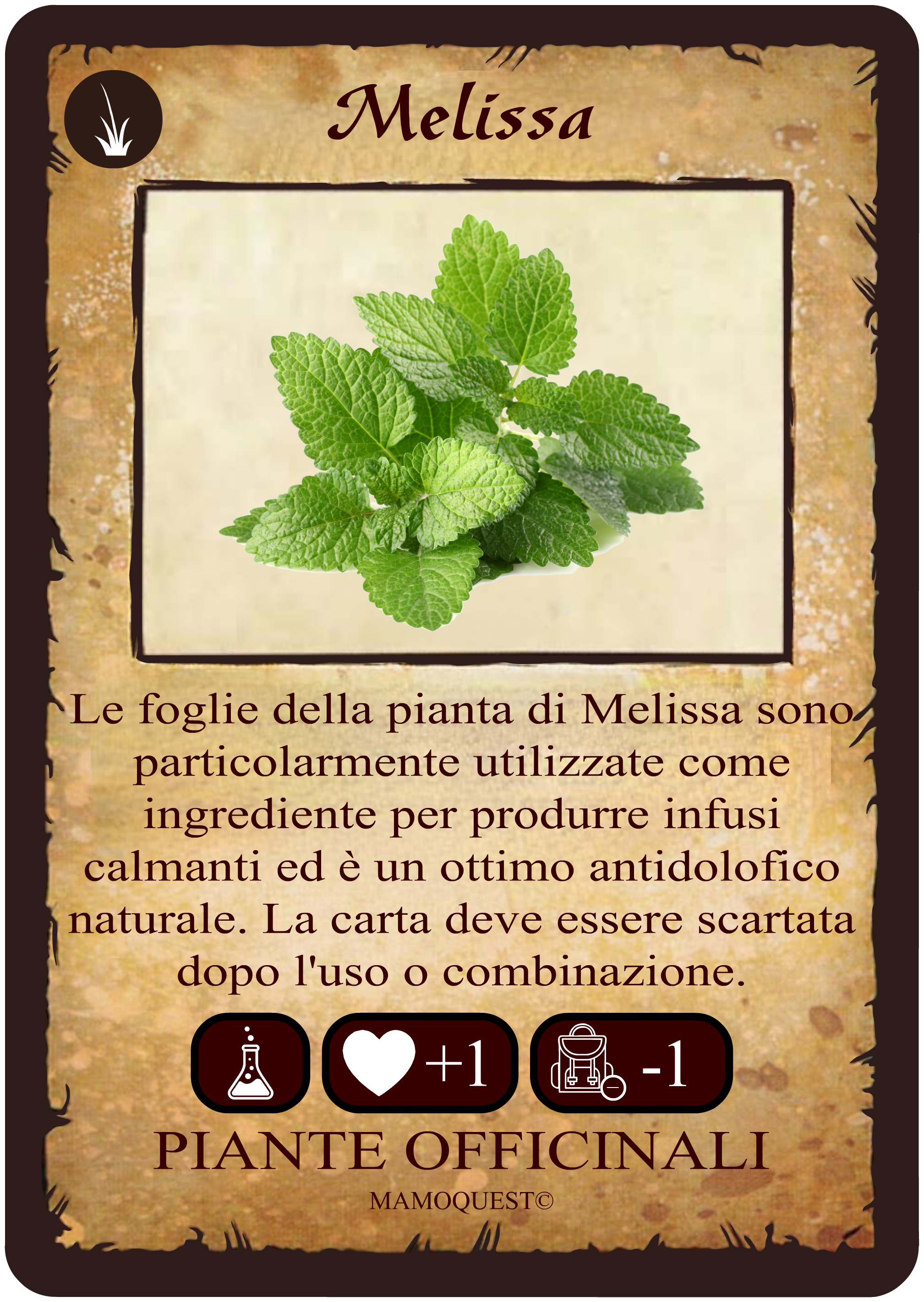 melissa.png