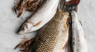 Pesce di Lago