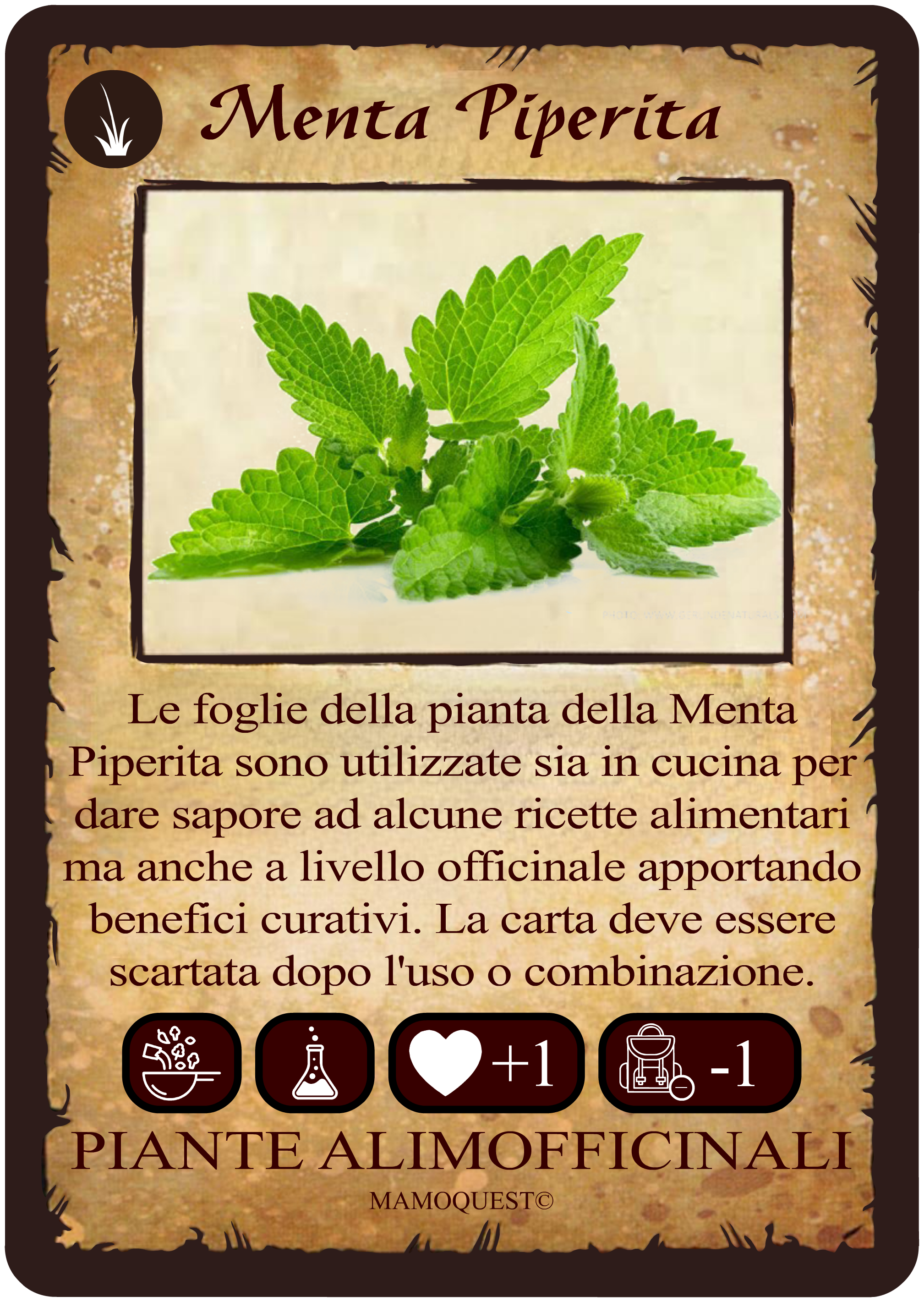 menta-piperita.png