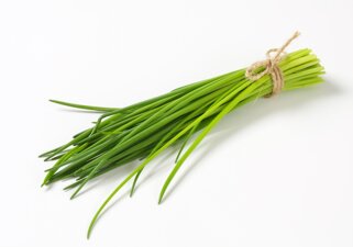 erba cipollina.jpeg