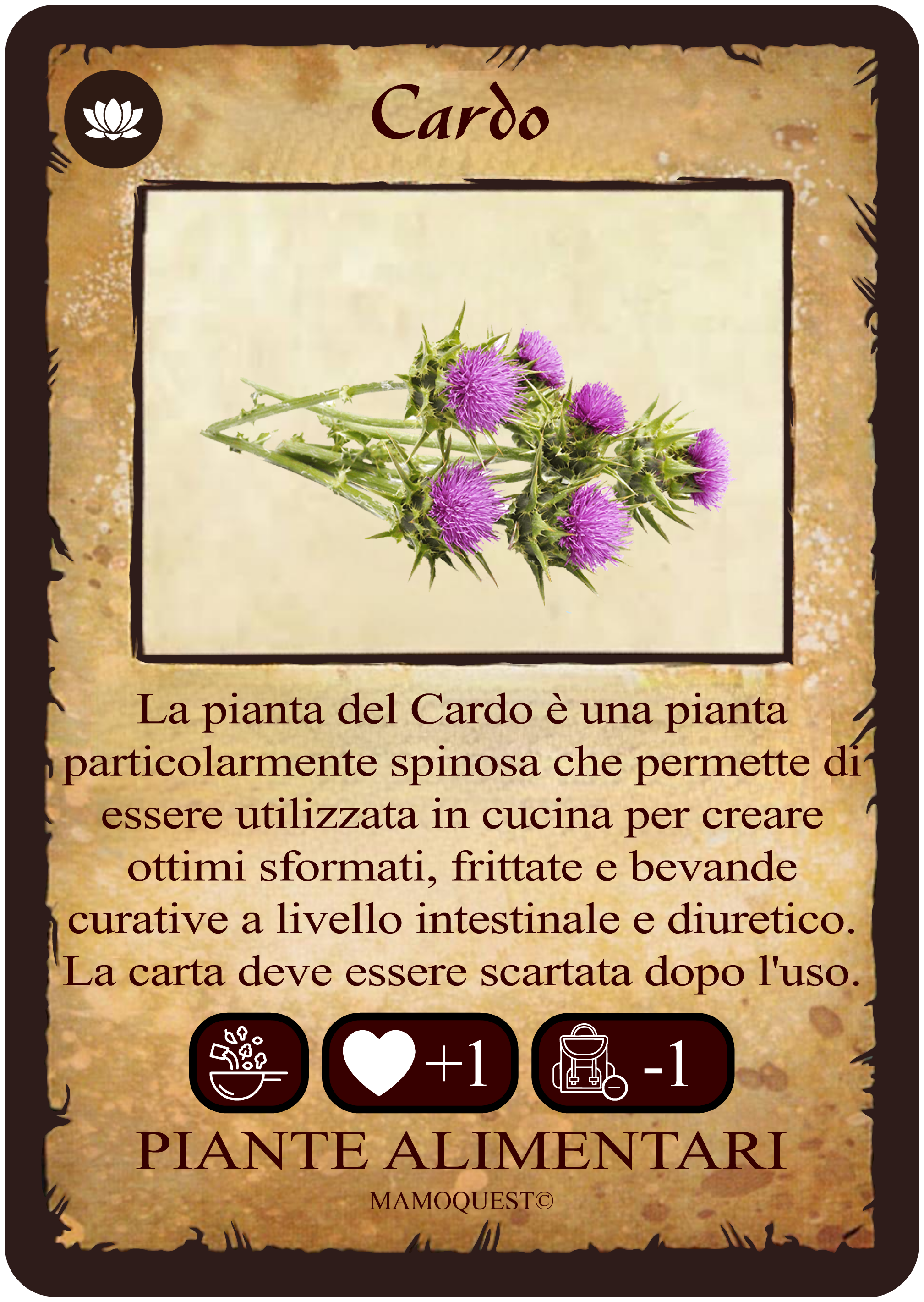 cardo.png