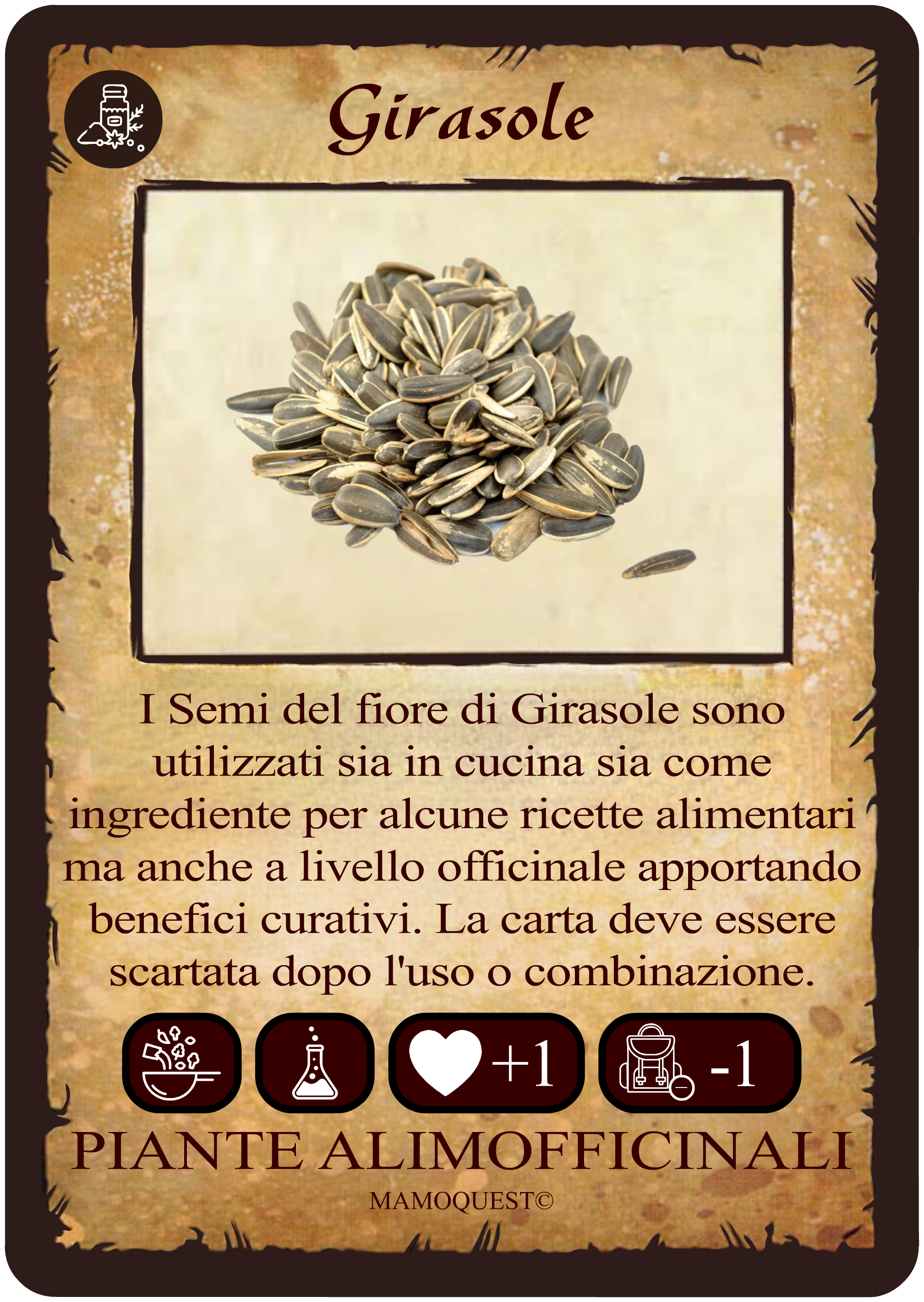 girasole.png