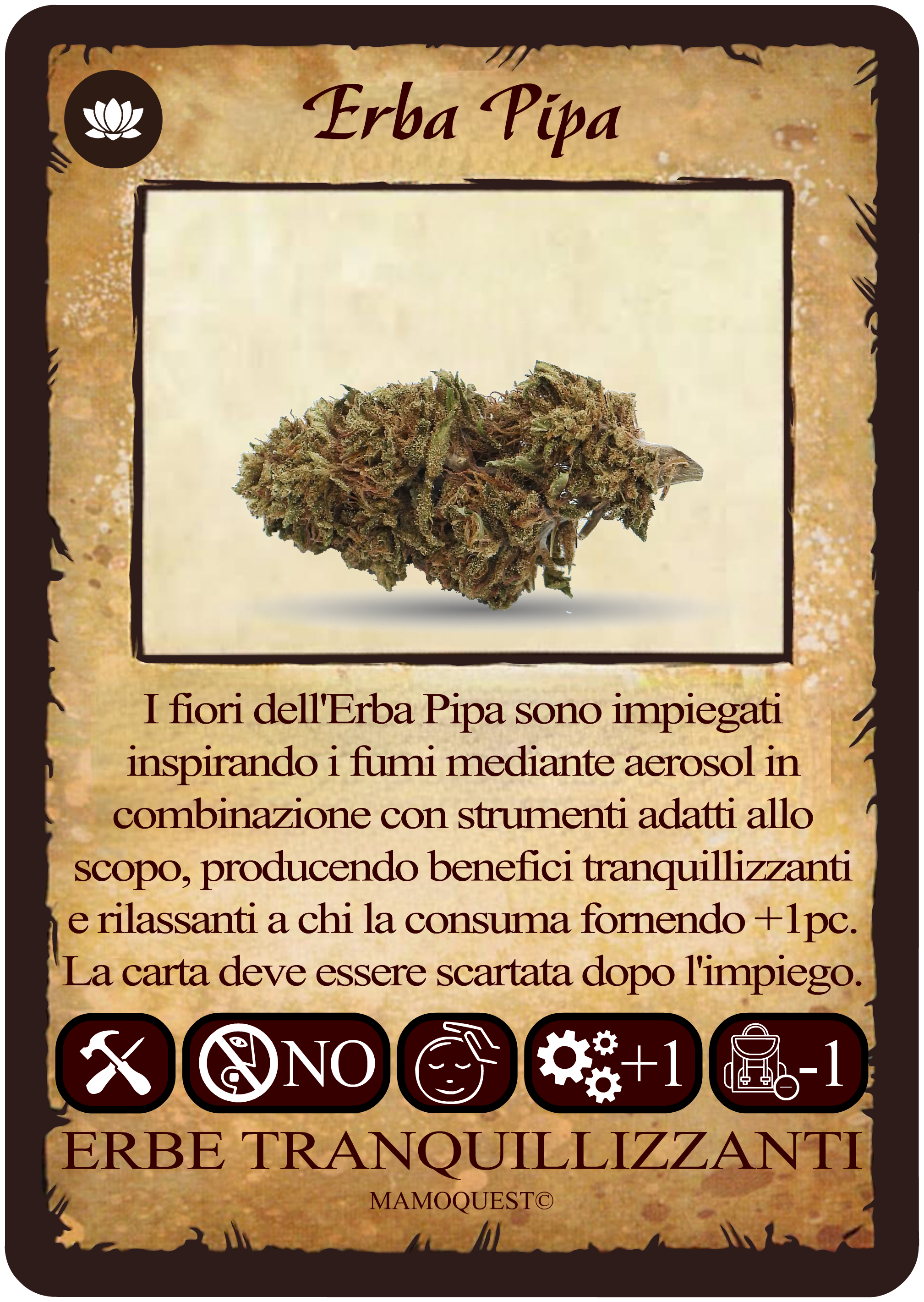 erba-pipa.png