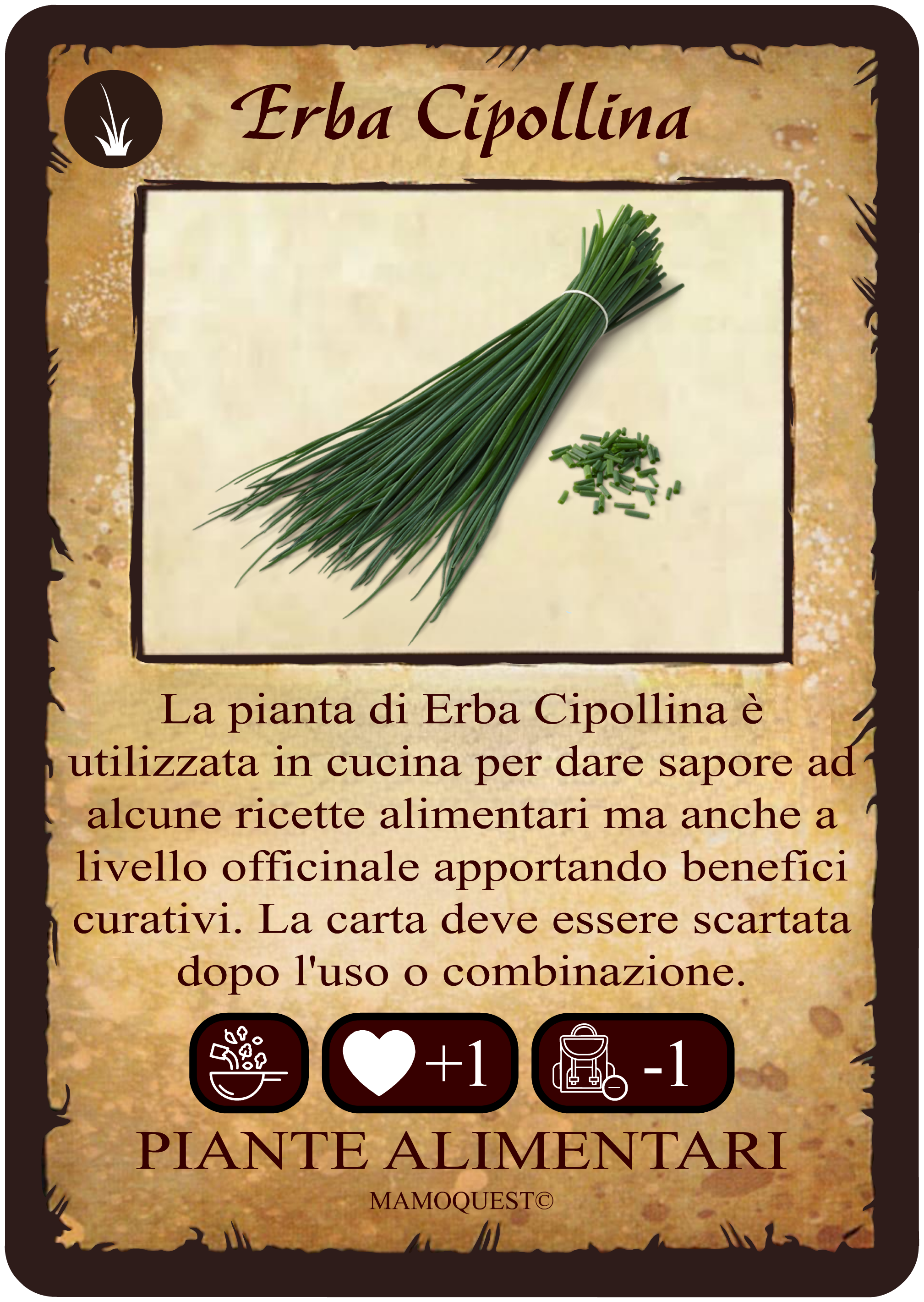 erba-cipollina.png