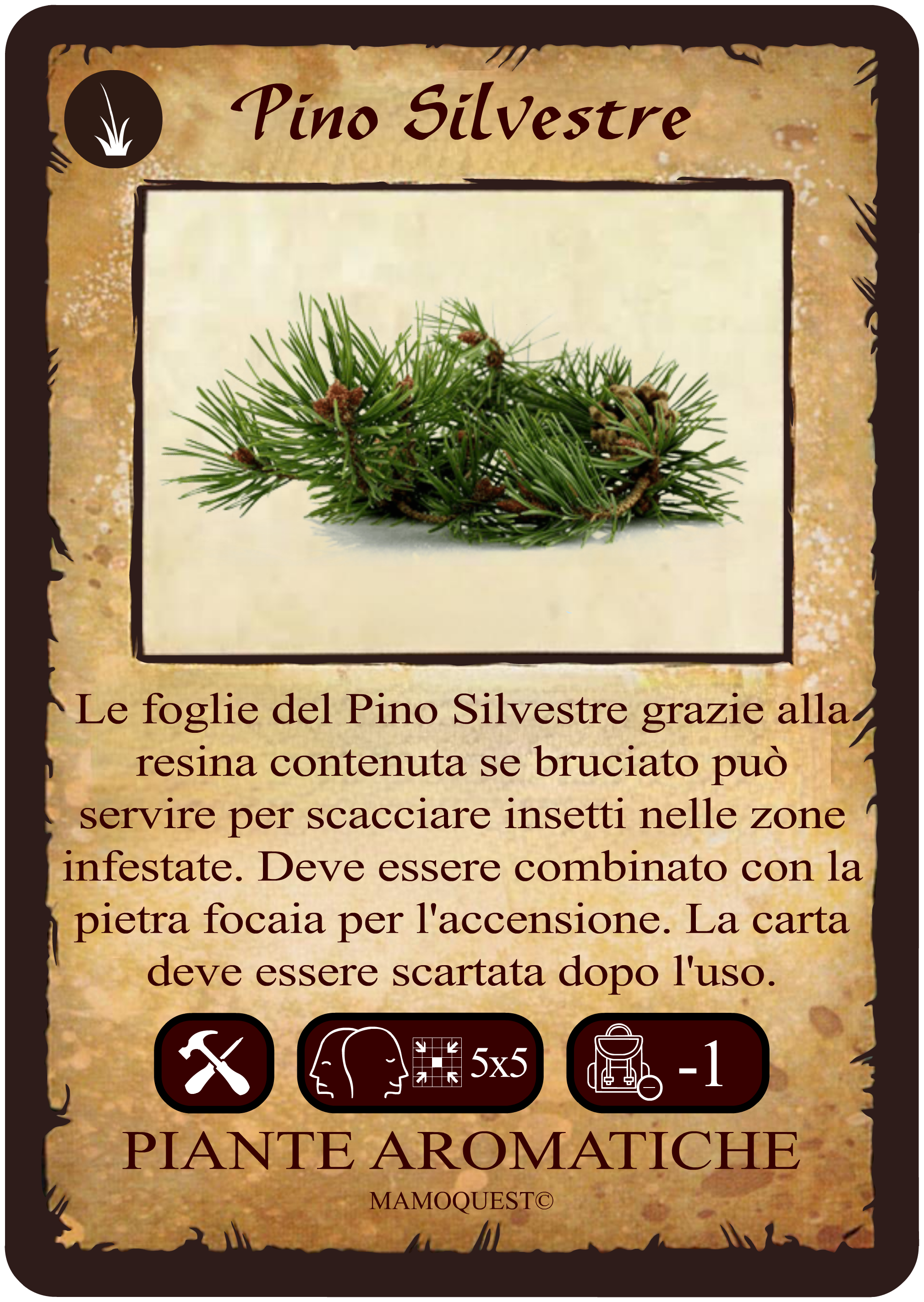 pino-silvestre.png
