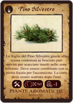 pino silvestre