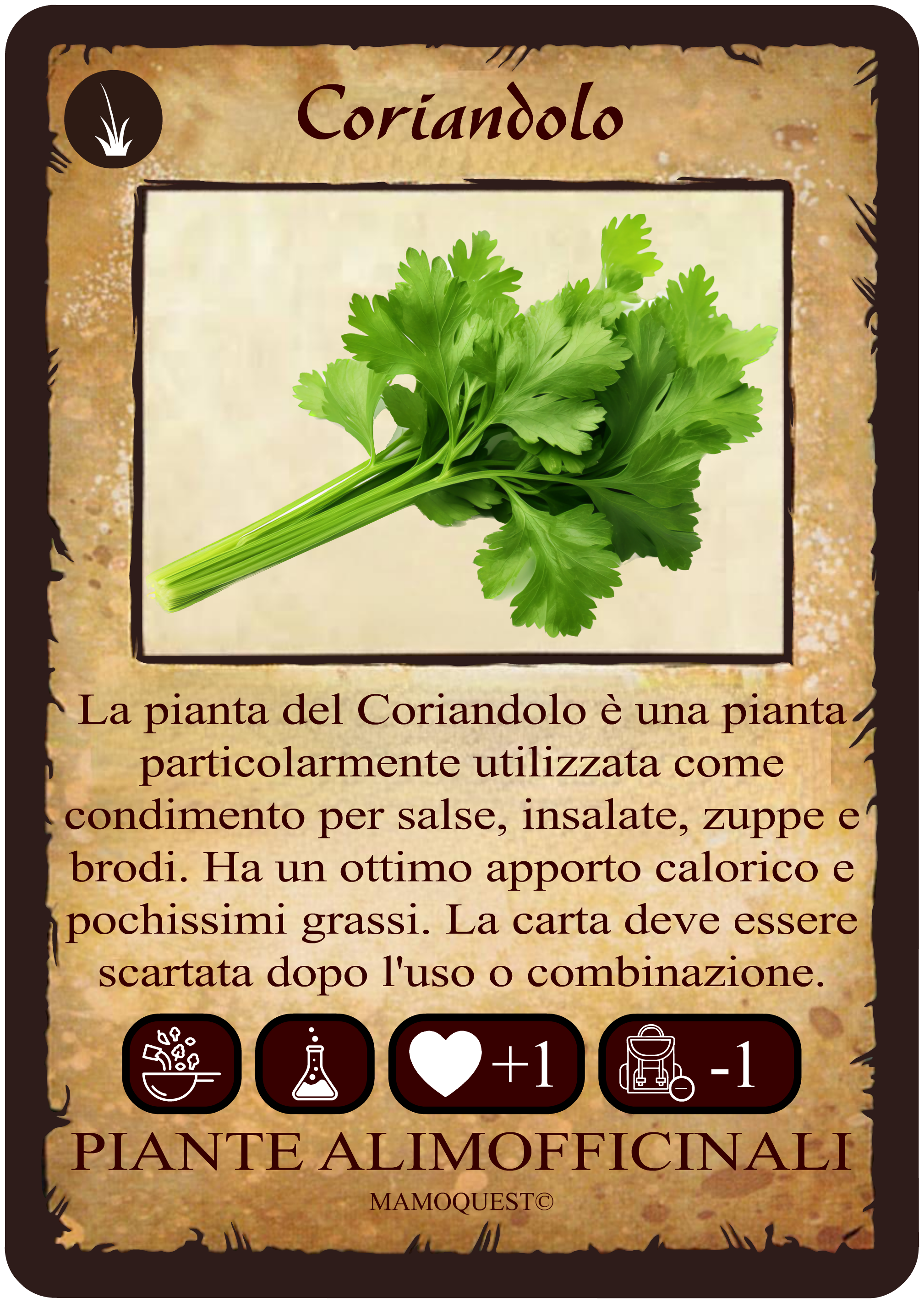 coriandolo.png