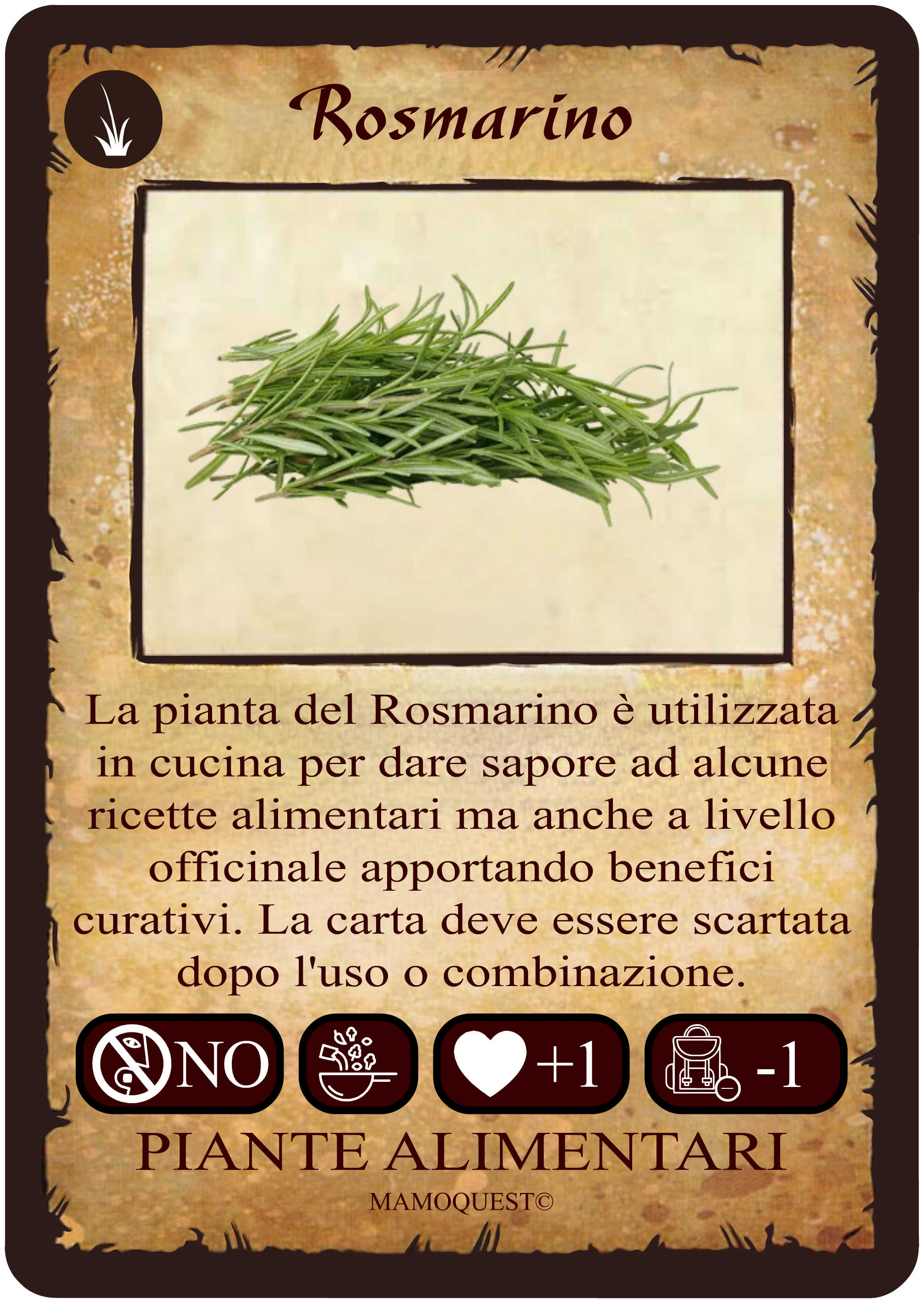rosmarino.png