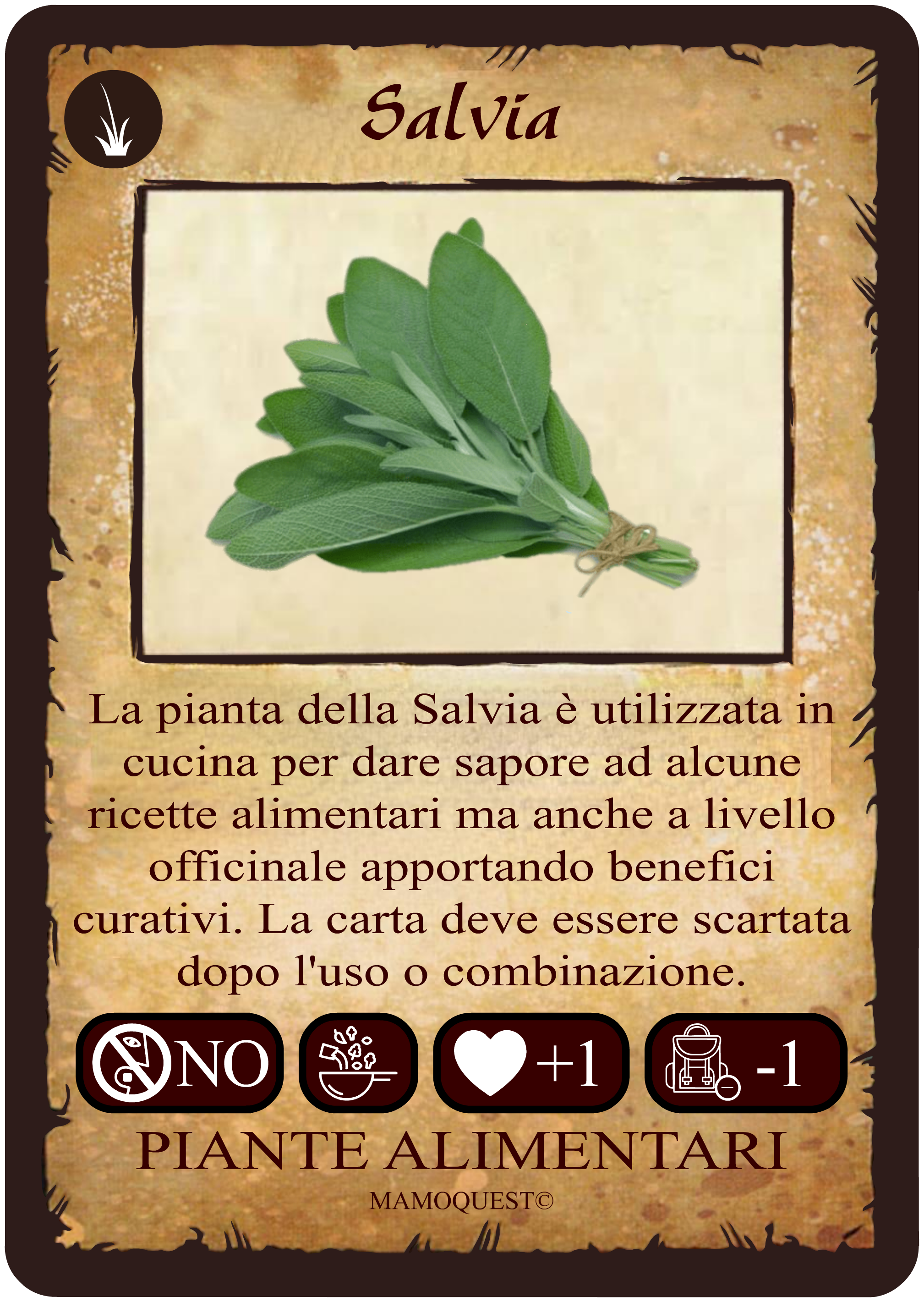 salvia.png