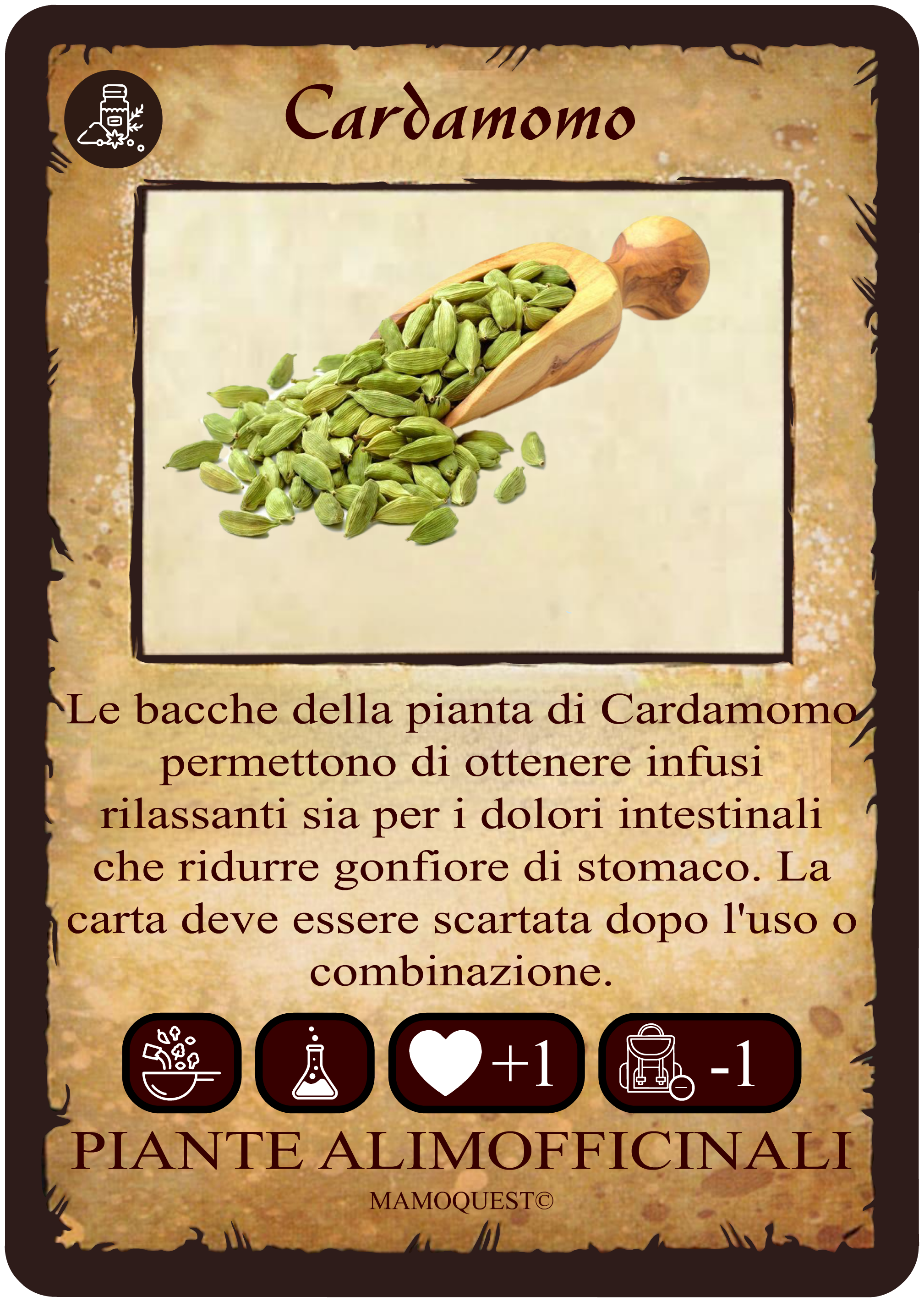 cardamomo.png