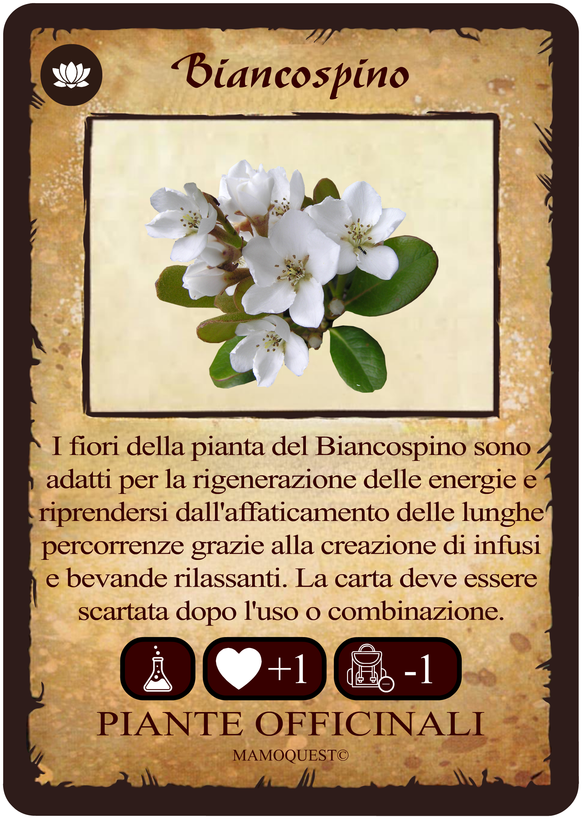 biancospino.png