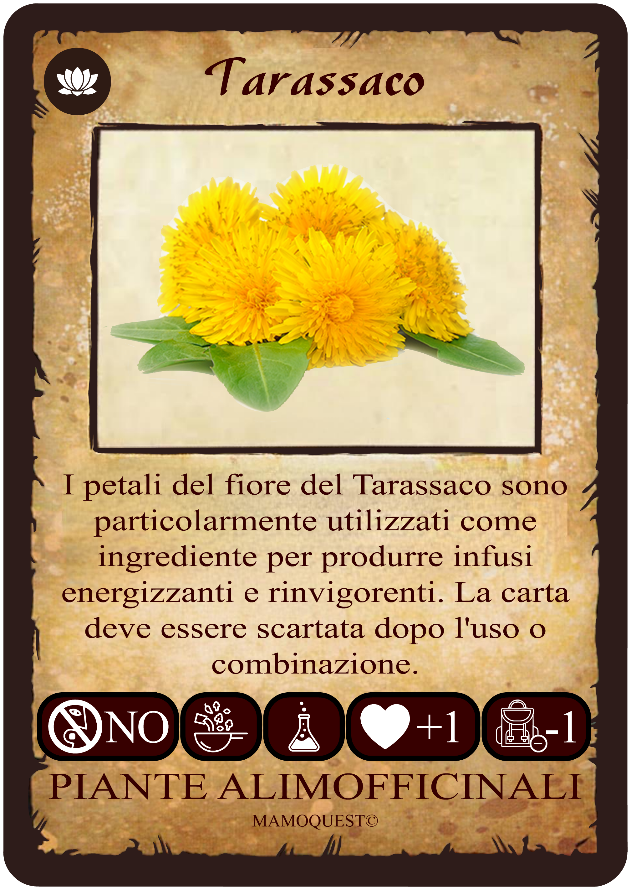 tarassaco.png