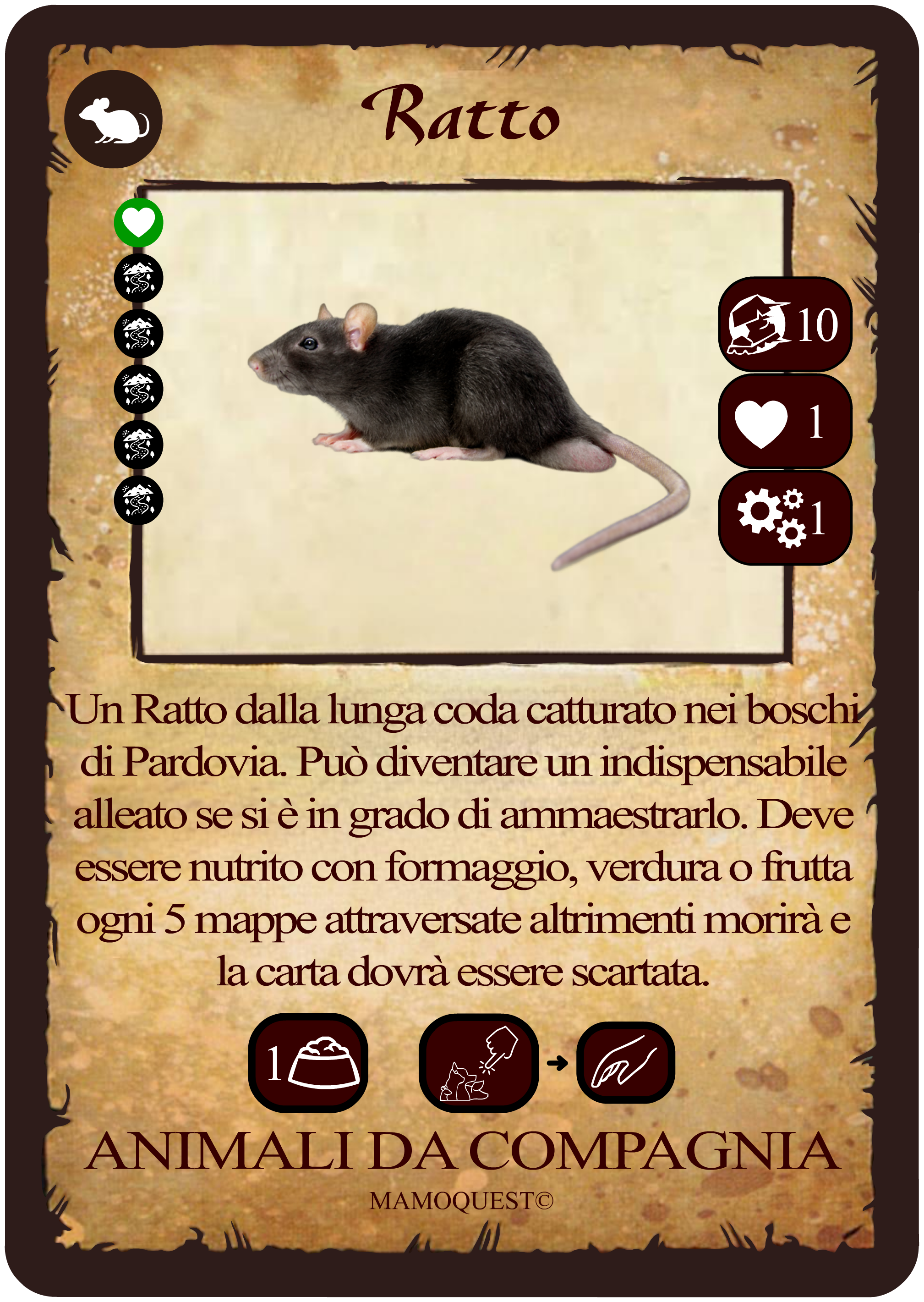ratto.png ratto.png