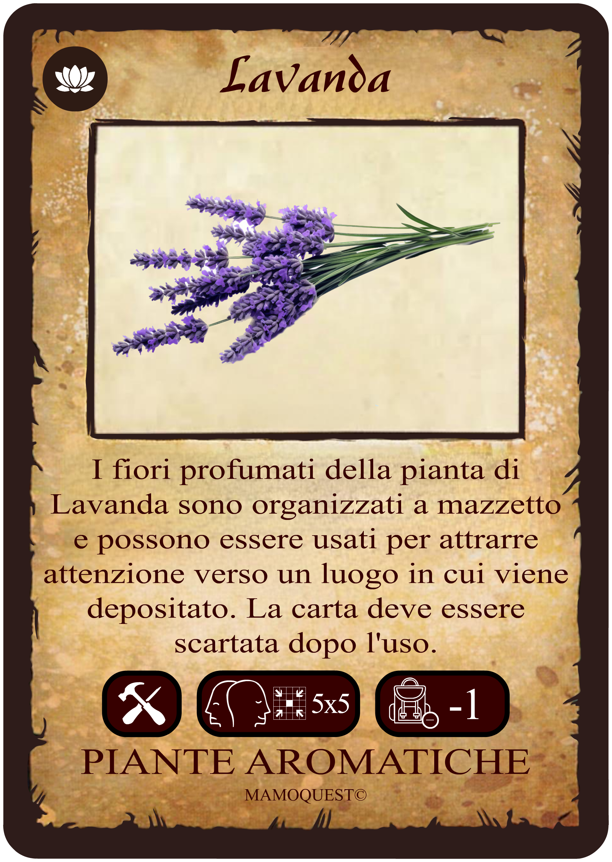 lavanda.png