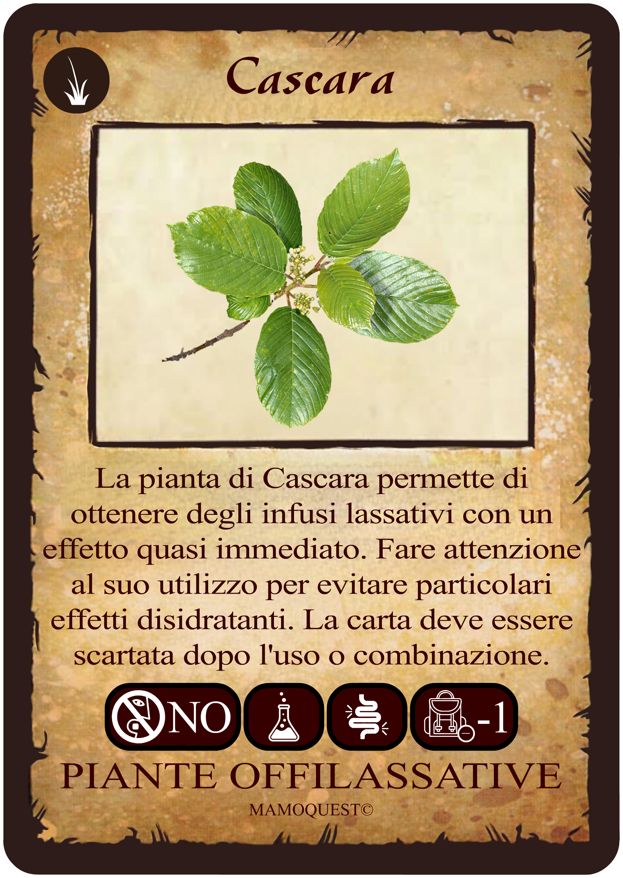 cascara.png