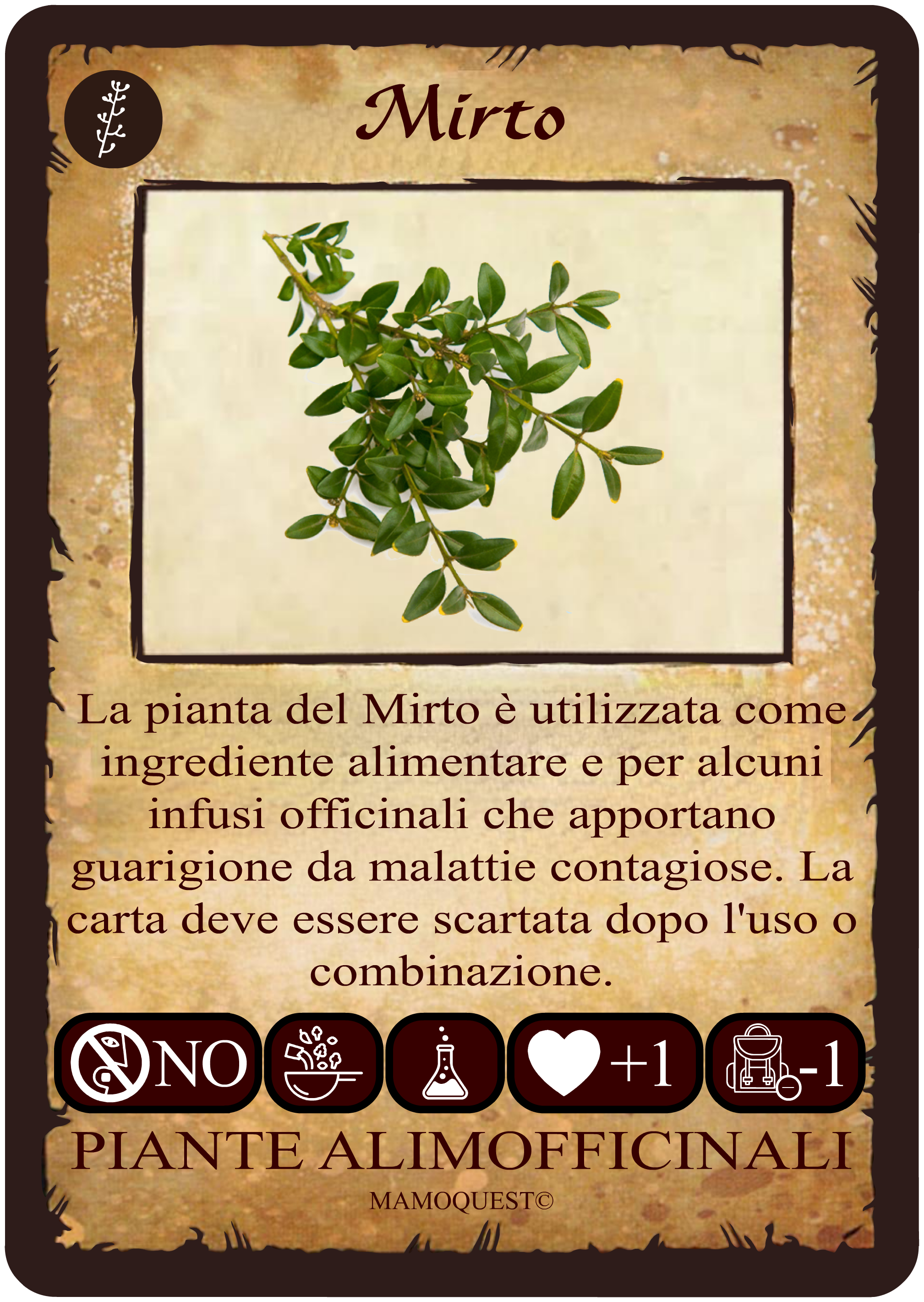 mirto.png