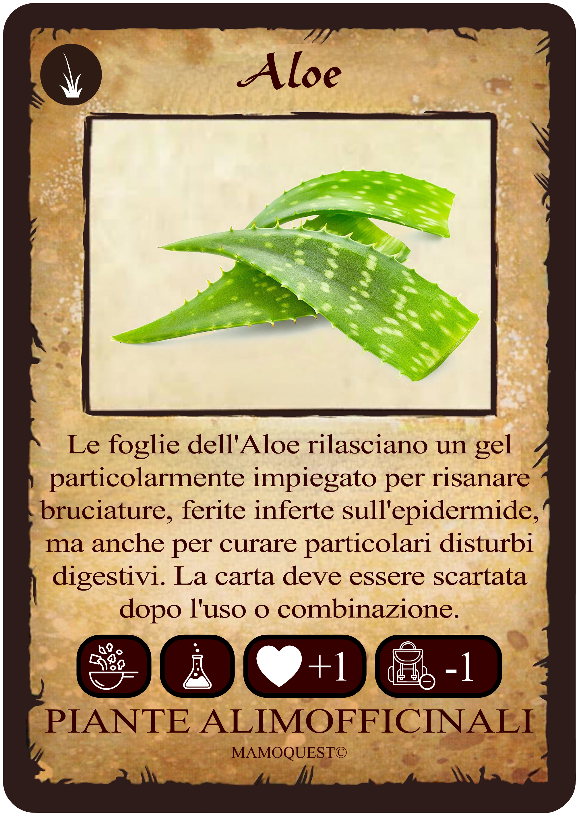 aloe.png