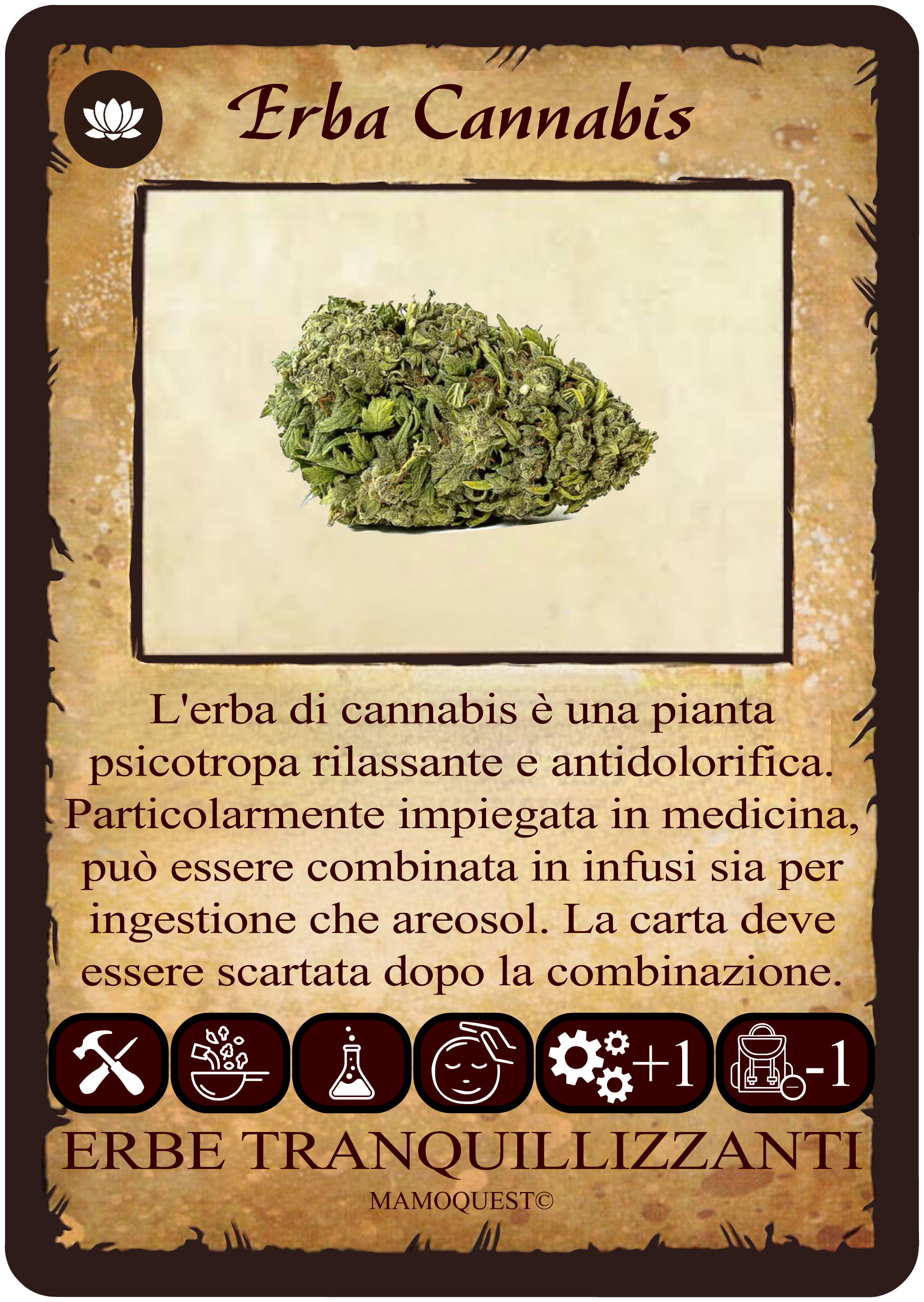 erba-cannabis.png