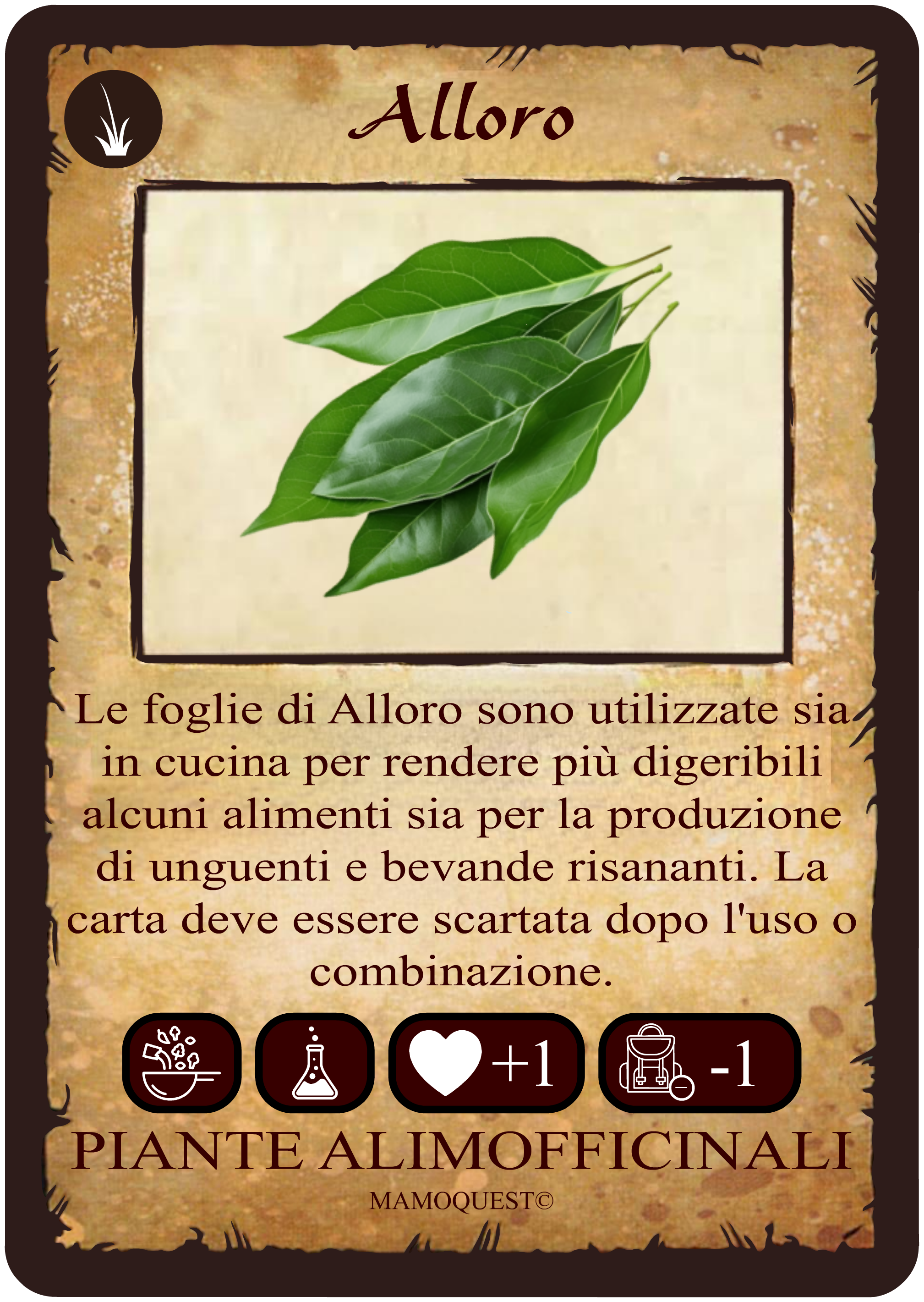 alloro.png
