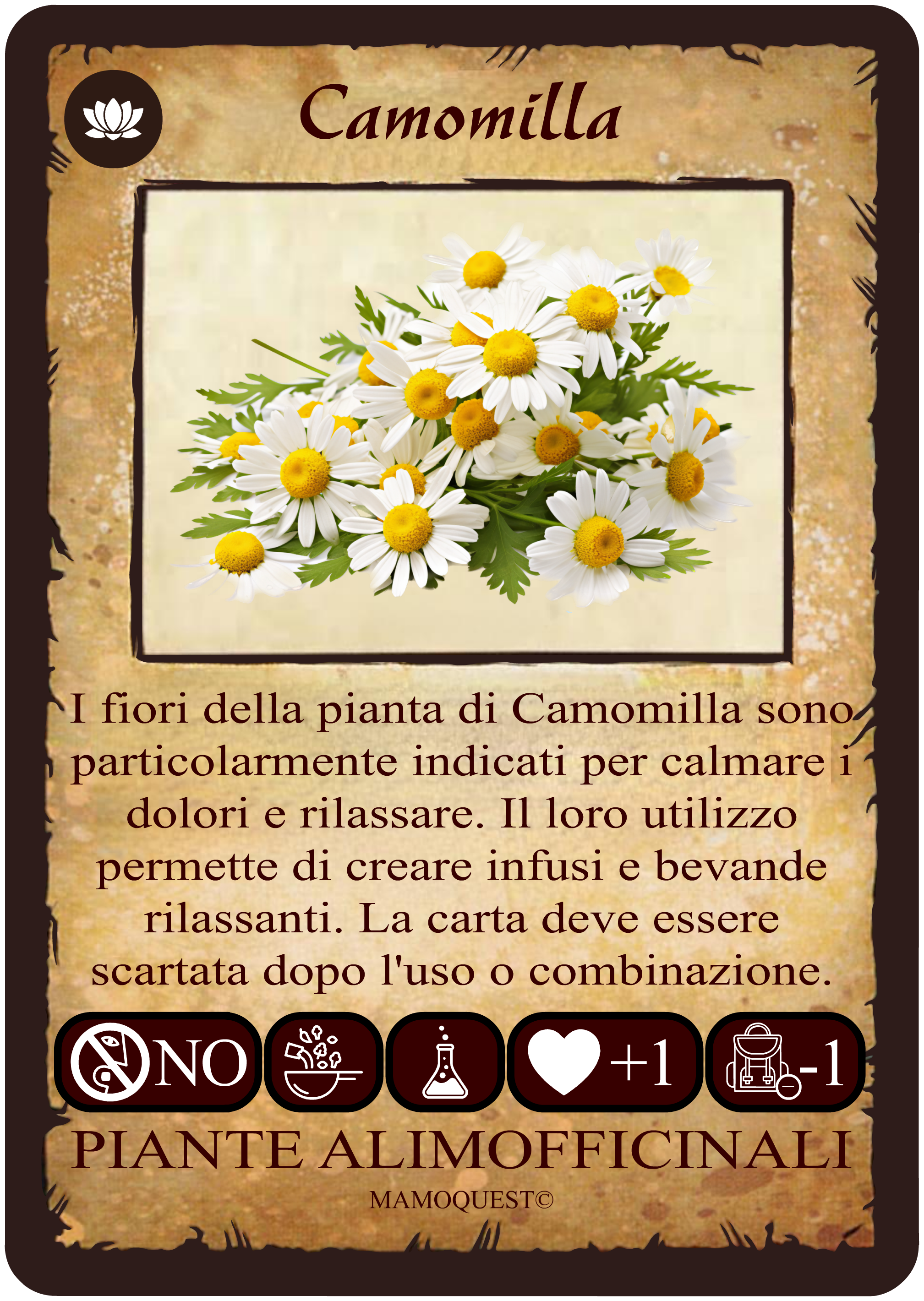 camomilla.png