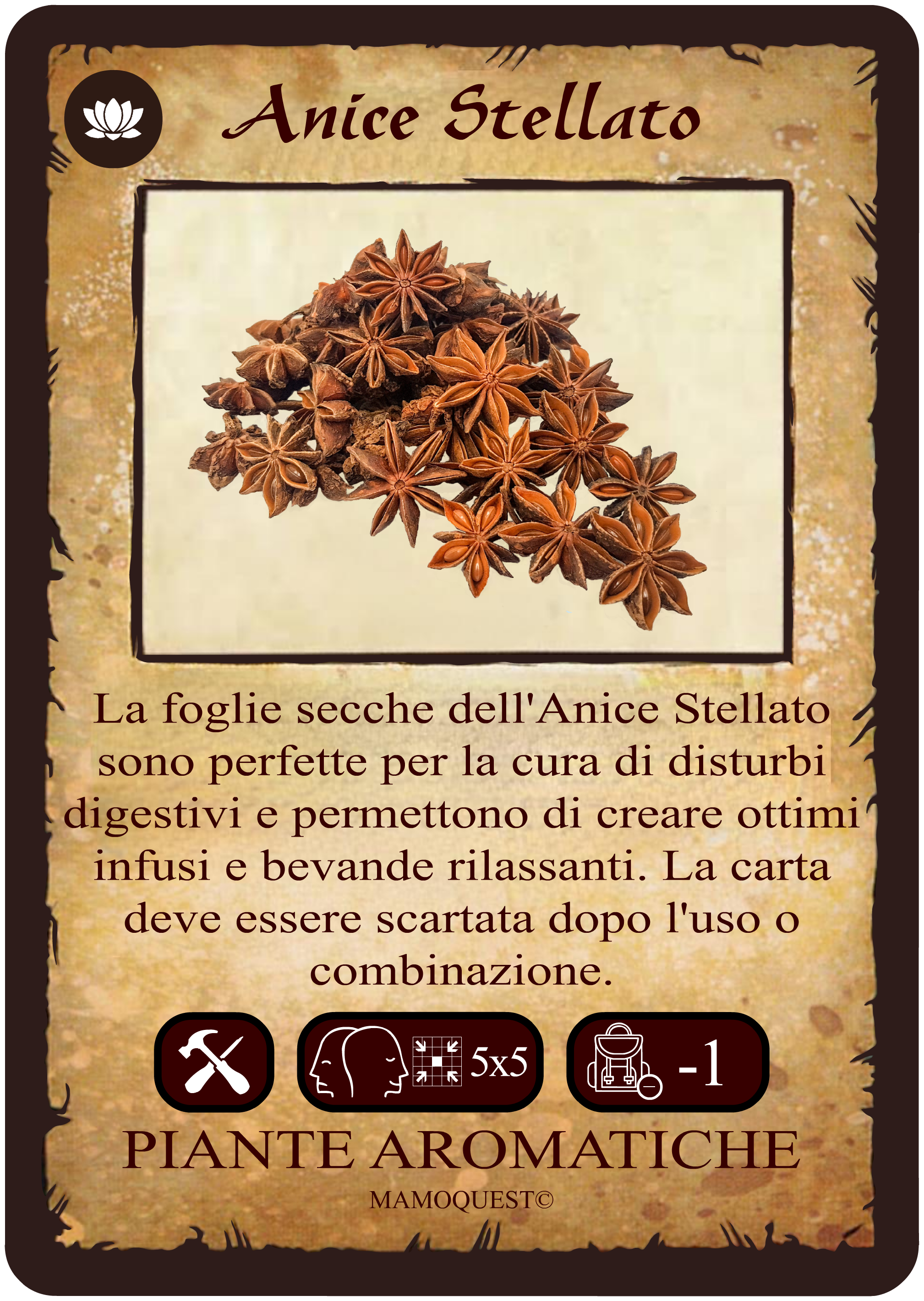 anice-stellato.png