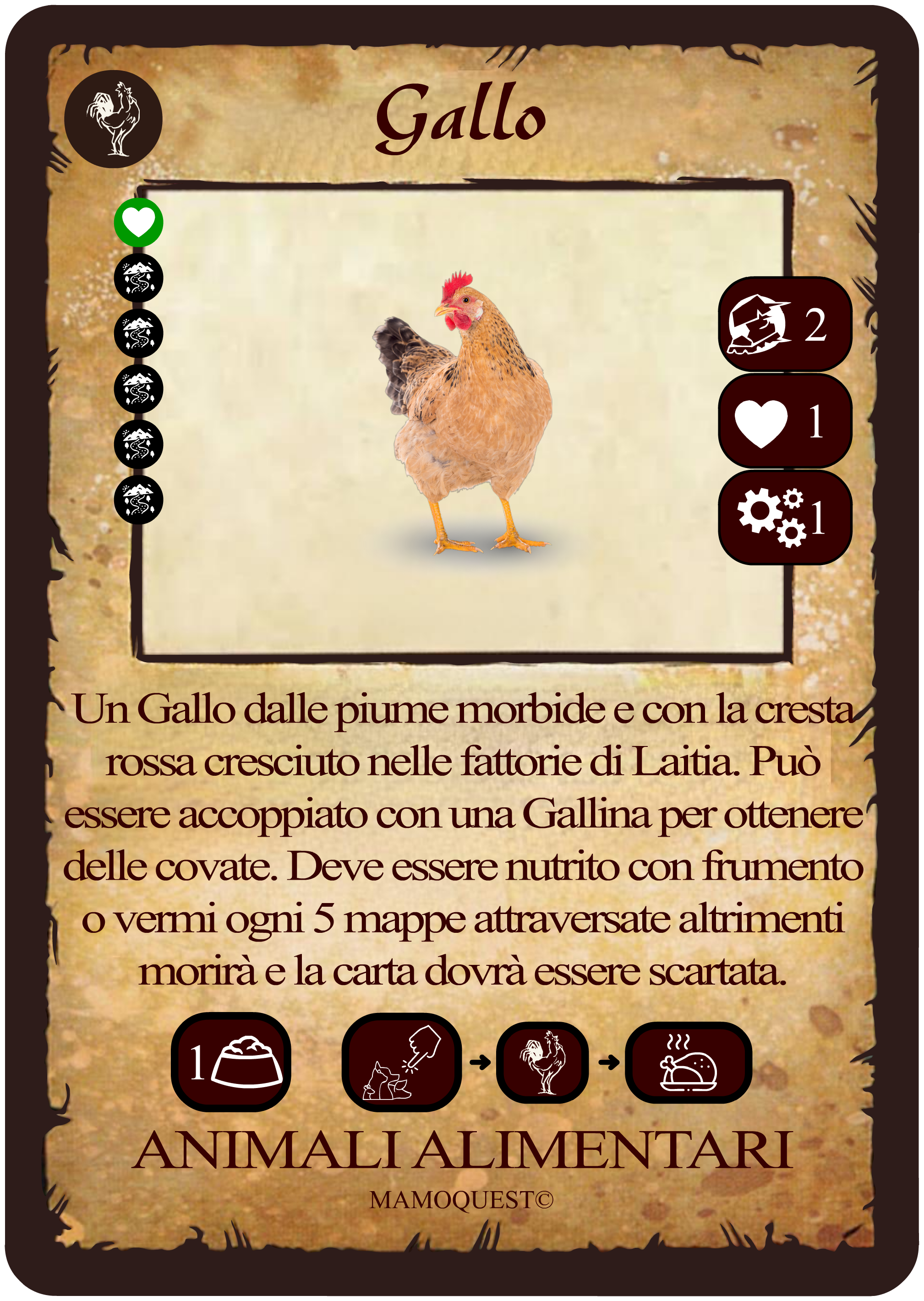 gallo.png gallo.png