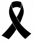 immagine 2026-06-20 153553.jpeg immagine 2026-06-20 153553.jpeg