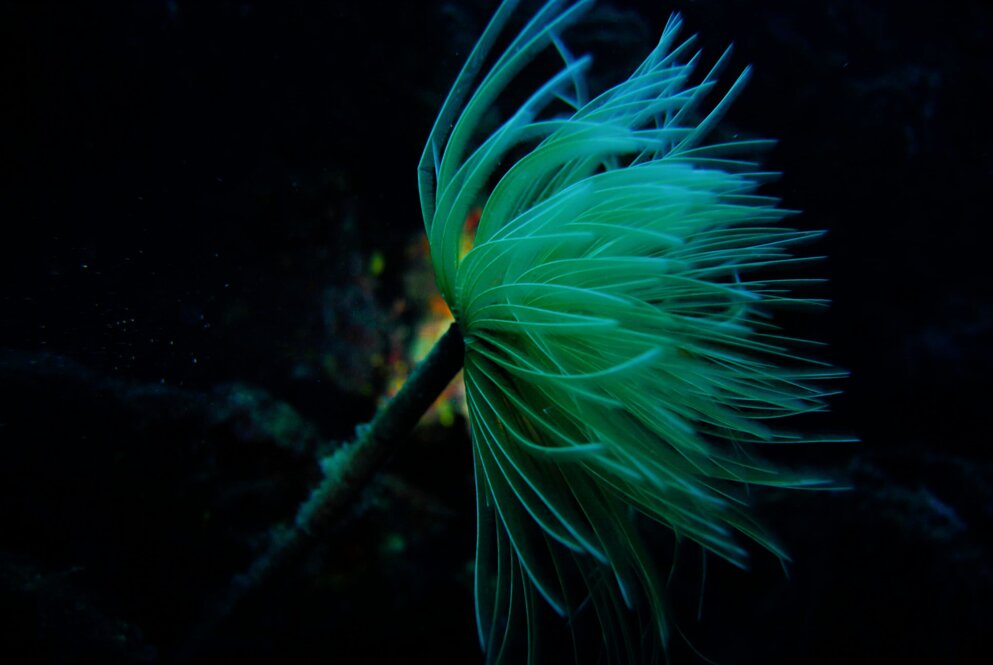 dsc_69131.jpeg dsc_69131.jpeg