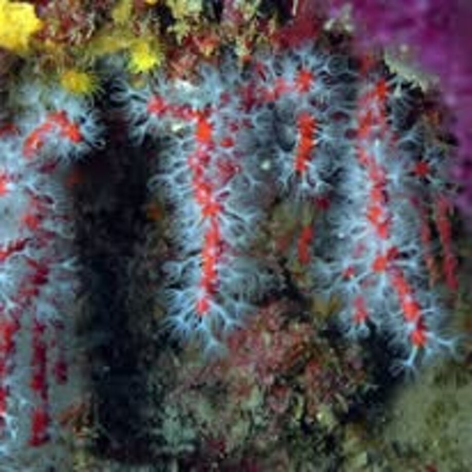 461819279_10230470473364636_4880865652021895475_n.jpeg 461819279_10230470473364636_4880865652021895475_n.jpeg